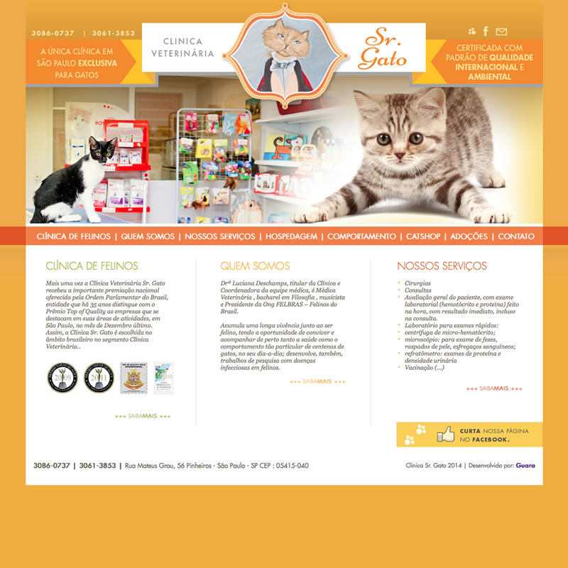 Clínica Sr. Gato