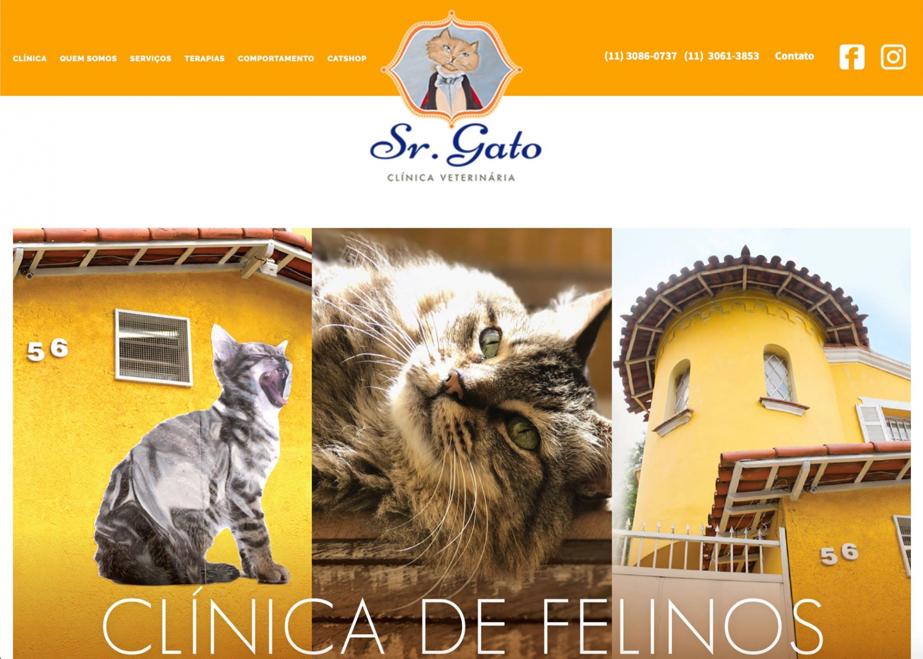 Clínica Sr. Gato